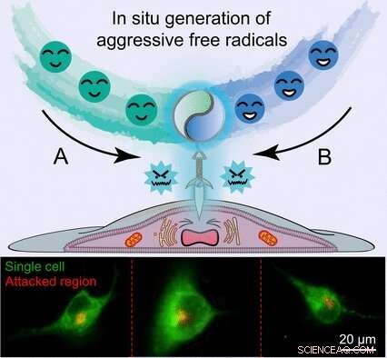 Targeted Free‑Radical Stimulation of Cellular Surfaces via a Novel Microfluidic Probe