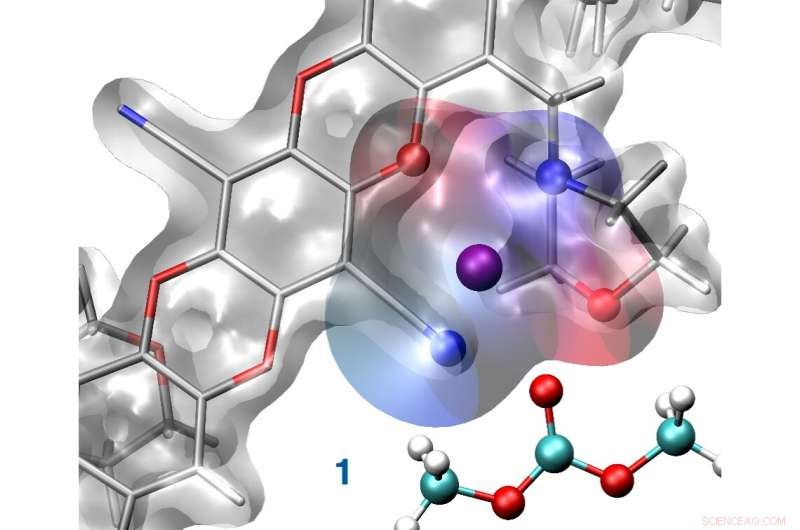 Innovative Drug-Discovery Toolbox Designs Selective Polymer Membranes for Lithium Batteries
