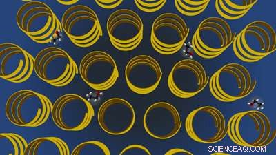 Cosolvent‑Directed Polypeptide Self‑Assembly: Engineering Nanotubes and Twisted Nanoribbons