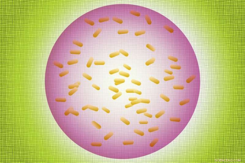 Safe Deployment of Bacterial Sensors: MIT s Hydrogel Encapsulation Innovation