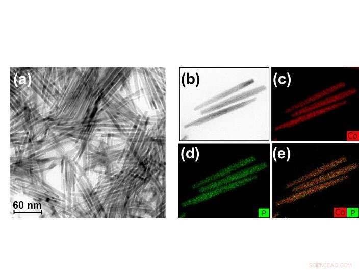 Enhance Catalyst Performance Sustainably with Phosphorus