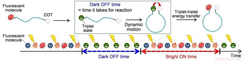 Rethinking FRET: Leveraging Fluorescence Blinking for Cancer Biomarker Detection