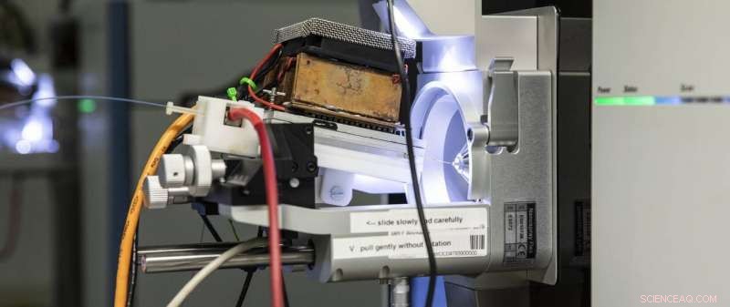 Exploring SARS‑CoV‑2 Through a Multidimensional Lens