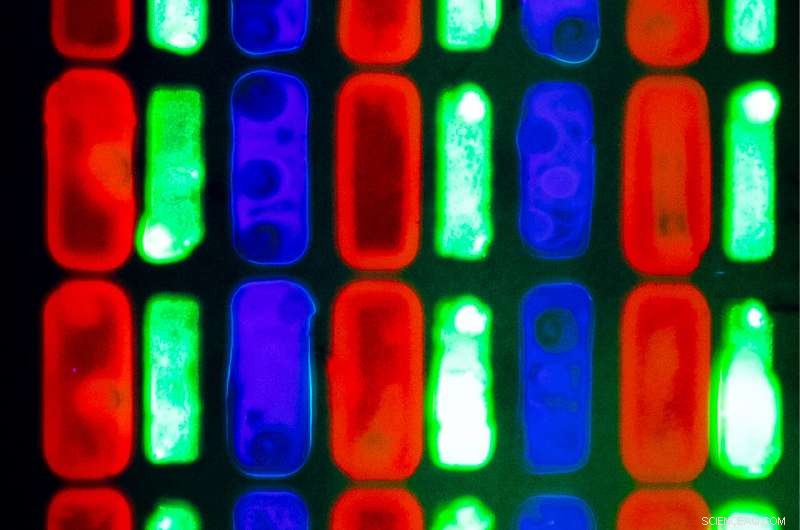 Revolutionary Reactive Ink: Painting with Semiconductor Technology