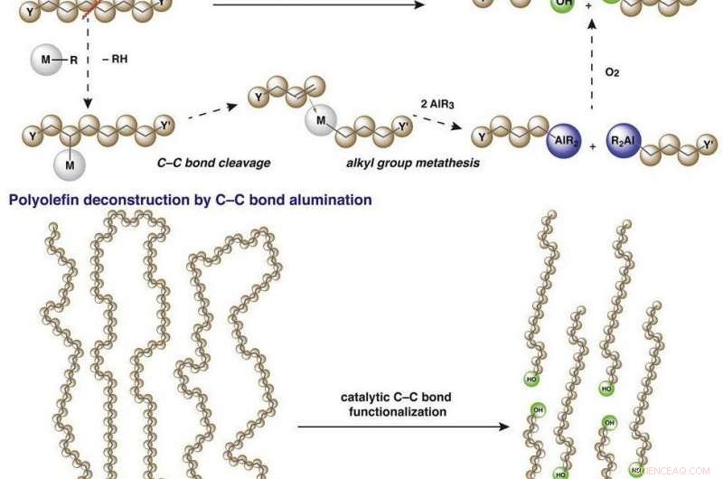 Plastics Gain New Purpose: Turning Them into Biodegradable Surfactants