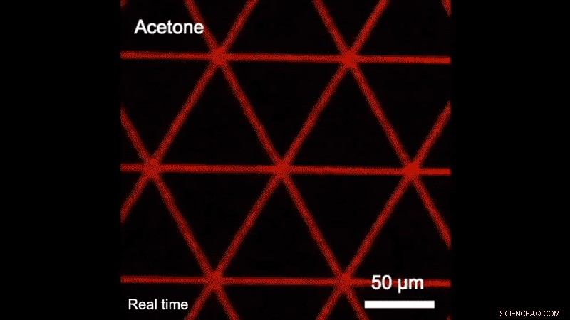 Reconfiguring Material Topology: Turning Circles into Squares at the Microscale