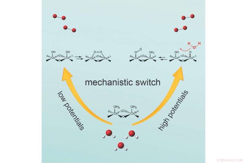 Electrochemical Switch Enhances Water Splitting with Cobalt-Oxide Catalysts