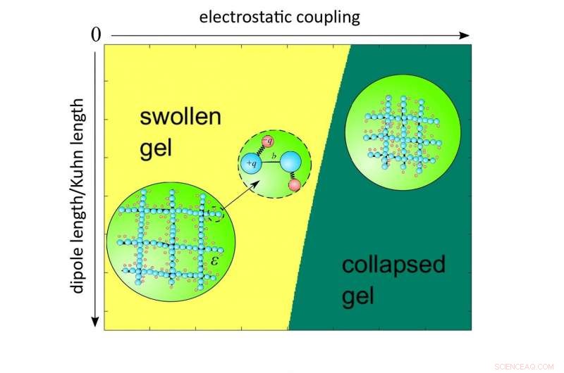 New Microscopic Theory Unveils Phase Transformation in Polymer Gels