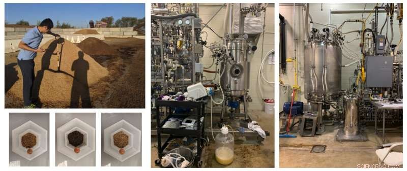 Revolutionary Process Turns Agricultural & Forest Wood Waste into Clean Ethanol