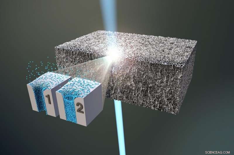 Unveiling Xenon Adsorption Dynamics in Mesoporous Hosts via Direct Observation