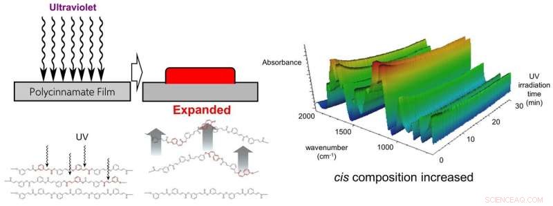 Photoexpansion of Bio‑Based Polyesters: Creating Durable Hard Films