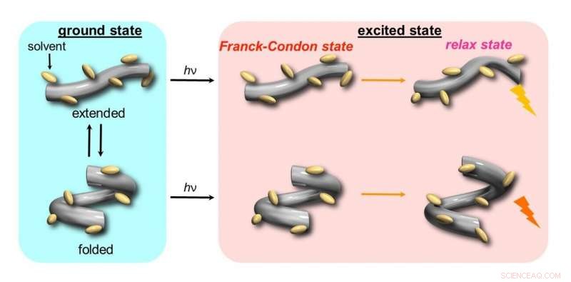 Harnessing Hydrostatic Pressure to Control Protein‑Mimicking Molecule Conformations