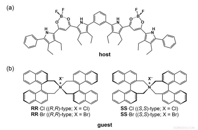 Harnessing Hydrostatic Pressure to Control Protein‑Mimicking Molecule Conformations