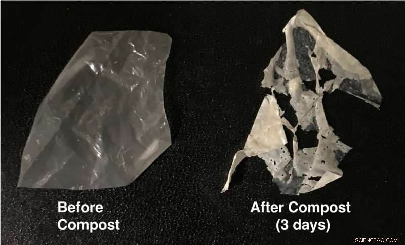 Revolutionary Process Turns Biodegradable Plastics into Fully Compostable Materials