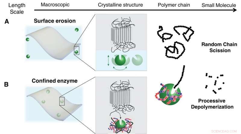 Revolutionary Process Turns Biodegradable Plastics into Fully Compostable Materials