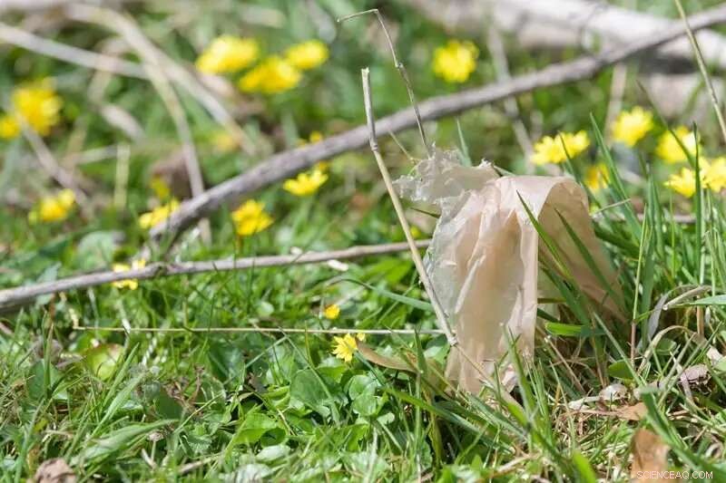 Scientists Reveal Promising Solutions for Hard-to-Recycle Plastics