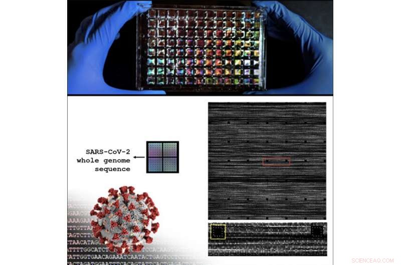 New Chip Enhances COVID-19 Testing & Contact Tracing Efficiency