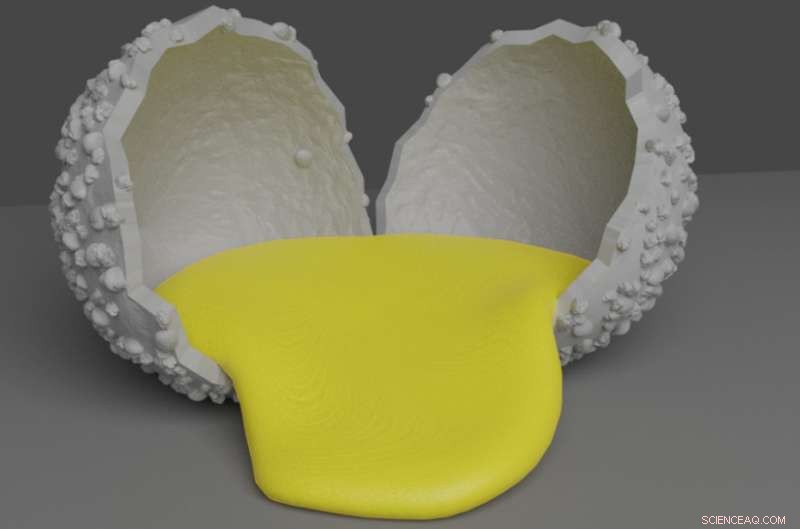 Scientists Develop Ultra-Strong, Rapid-Setting Waterproof Adhesive