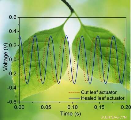 Smart Dielectric Elastomers Enable Self-Healing in Soft Robots