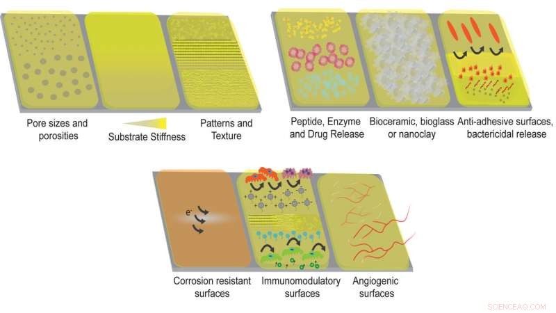 Enhancing Bone‑Implant Integration with Advanced Polymer Coatings