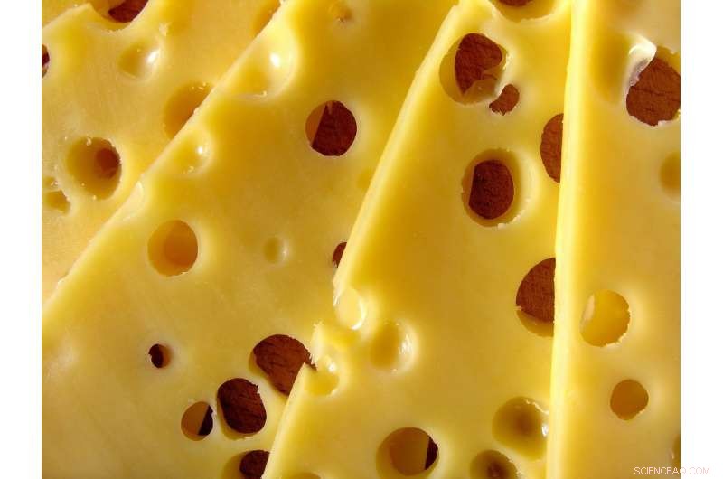 Lactic Acid Bacteria Extend Food Shelf Life Using Dairy Waste