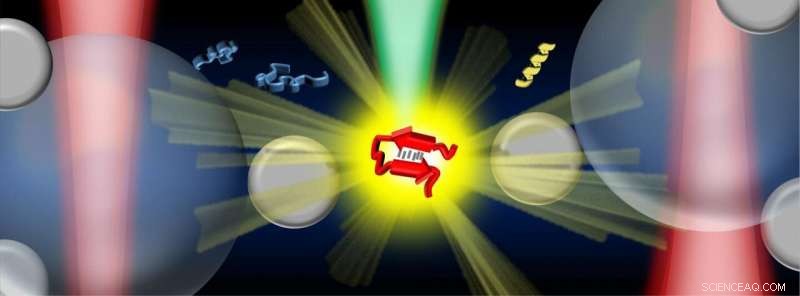 New Raman Spectroscopy Platform Enables Precise Characterization of Intrinsically Disordered Proteins in Dilute Solutions