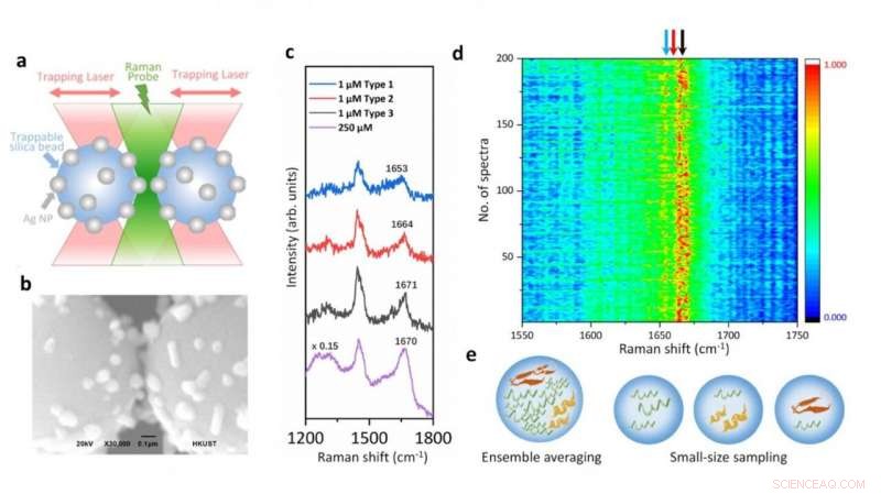 New Raman Spectroscopy Platform Enables Precise Characterization of Intrinsically Disordered Proteins in Dilute Solutions