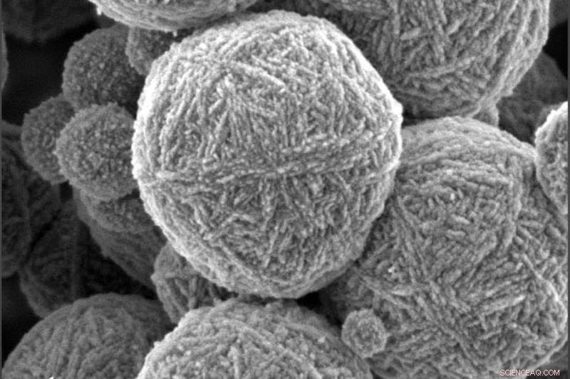 How Colloidal Gels Shape Everyday Products: A Scientific Insight