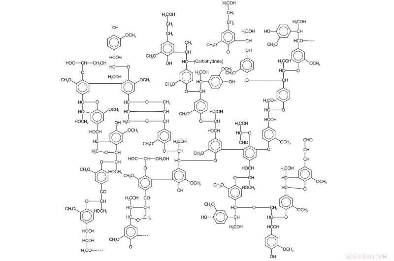 New Fungus-Derived Enzyme Boosts Biofuel and Chemical Production