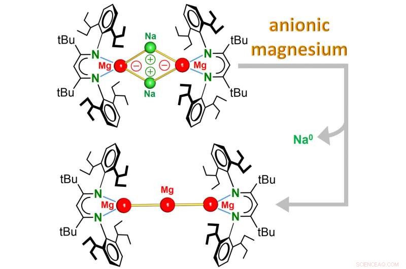 FAU Chemists Unveil Groundbreaking Upside‑Down Magnesium Chemistry