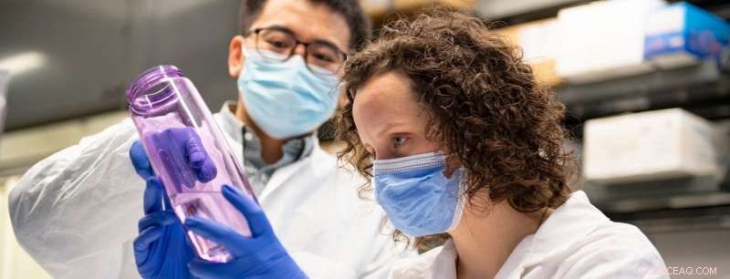 Clean BPA‑Free Water Bottles in the Dishwasher Before First Use for Optimal Safety