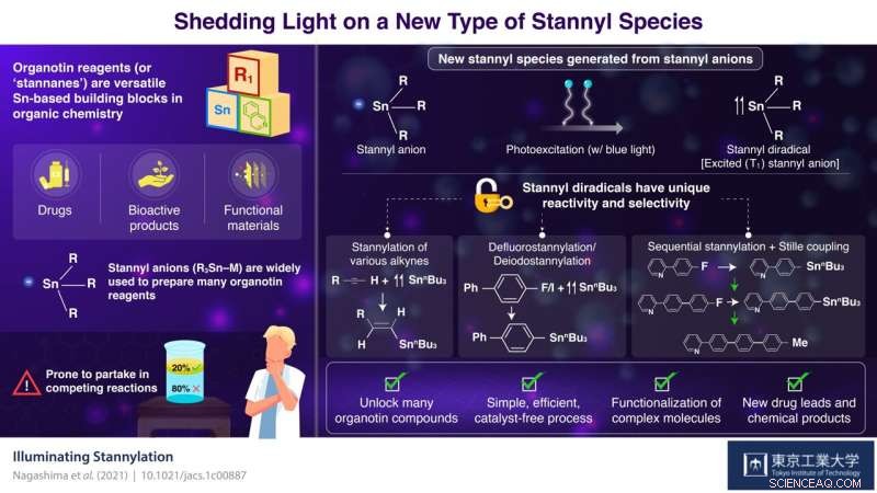 Harnessing Photoexcited Stannyl Anions: A New Pathway for Synthesizing Organotin Compounds
