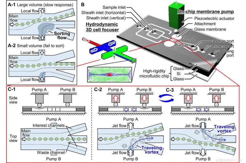 Revolutionary On-Chip Particle Sorter Enhances Fossil Pollen Purification