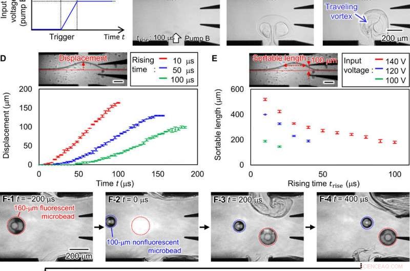 Revolutionary On-Chip Particle Sorter Enhances Fossil Pollen Purification