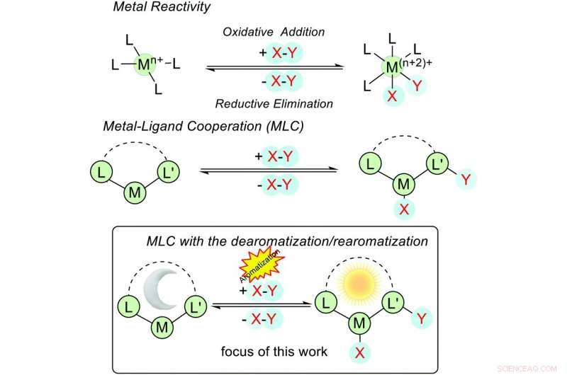 Harnessing Aromaticity in Catalysis: Unlocking New Opportunities