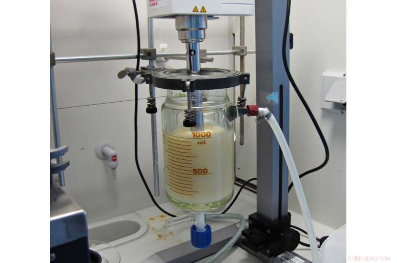 Revolutionary Bioactive Paper Coatings: A Sustainable Alternative to Plastic Food Packaging