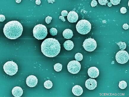 Innovative Materials & Processes for Eliminating Pathogens in Drinking Water