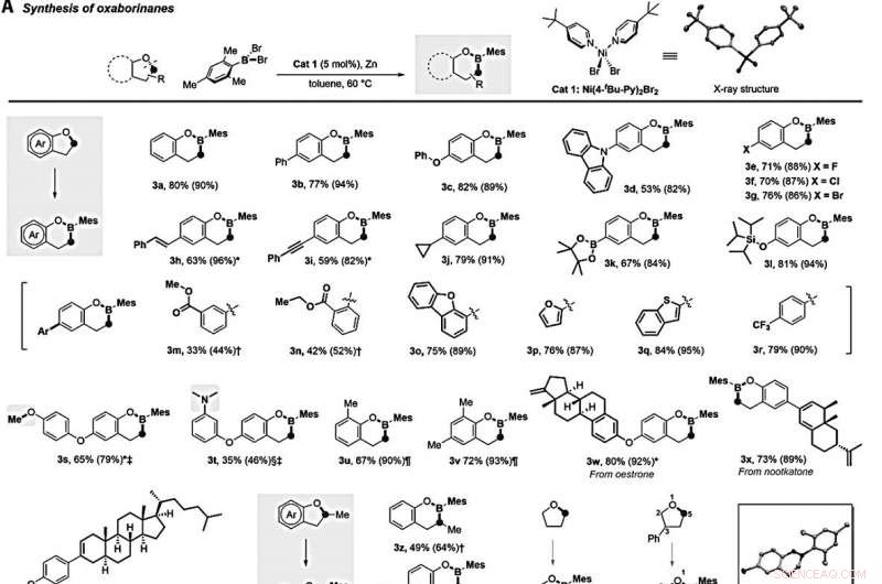 Efficient Boron Insertion into Alkyl Ether Bonds Using Zinc/Nickel Tandem Catalysis