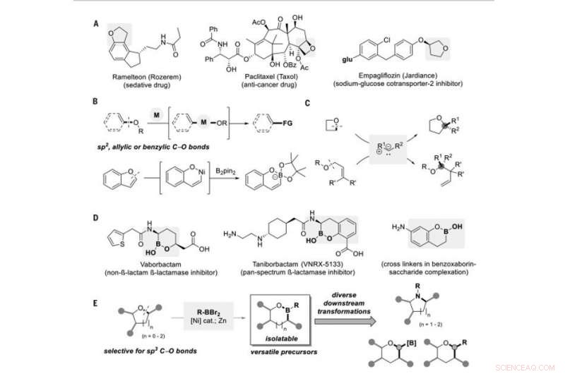 Efficient Boron Insertion into Alkyl Ether Bonds Using Zinc/Nickel Tandem Catalysis