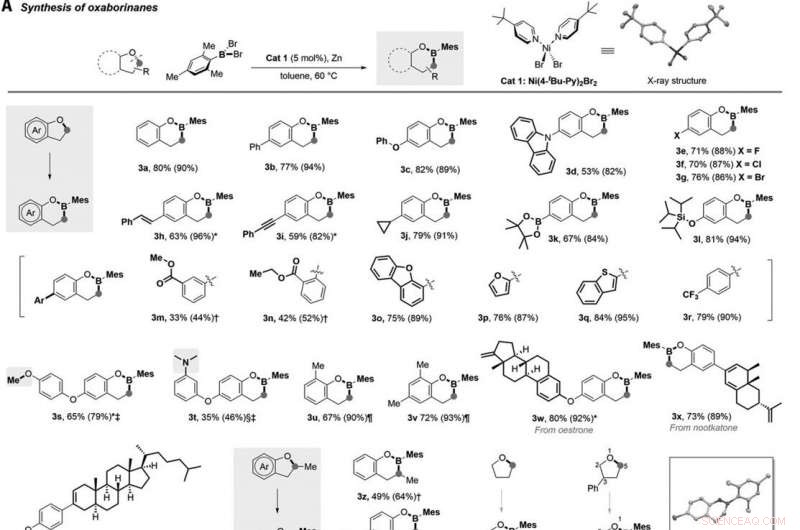 Efficient Boron Insertion into Alkyl Ether Bonds Using Zinc/Nickel Tandem Catalysis