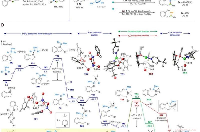 Efficient Boron Insertion into Alkyl Ether Bonds Using Zinc/Nickel Tandem Catalysis