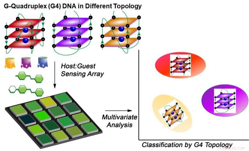 Advanced Chemical Sensor Detects Critical DNA Structural Variations Linked to Breast Cancer