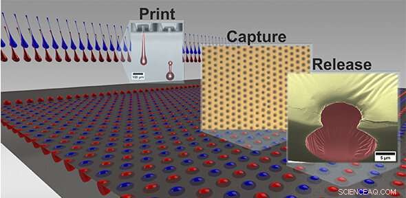 Revolutionary Inkjet Printing Technique Speeds Drug Discovery and Enables Personalized Delivery