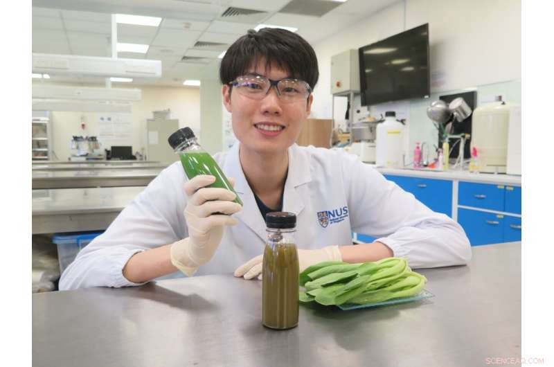 Transforming Ordinary Foods into Extraordinary Delights