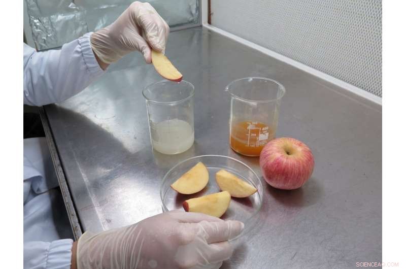 Transforming Ordinary Foods into Extraordinary Delights