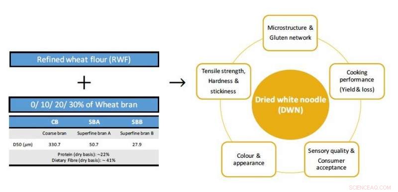 High‑Fiber Noodles Made Delicious: Cutting‑Edge Tech Keeps Taste Intact