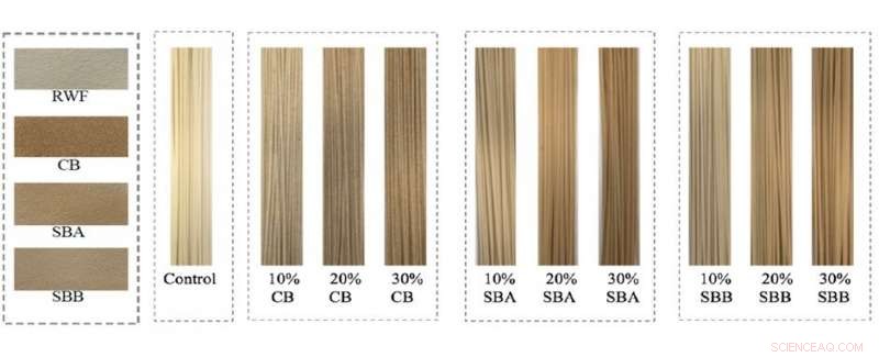 High‑Fiber Noodles Made Delicious: Cutting‑Edge Tech Keeps Taste Intact