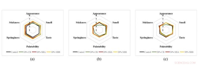 High‑Fiber Noodles Made Delicious: Cutting‑Edge Tech Keeps Taste Intact