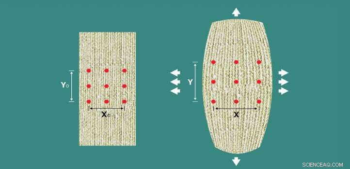 Exploring 2D Auxetic Materials: Unusual Stretching Behavior Revealed