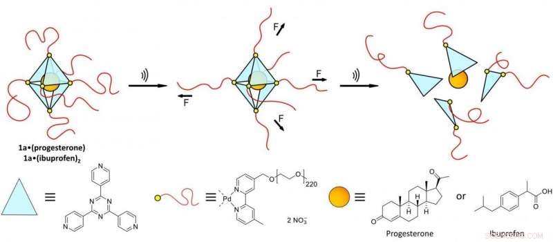 Controlled Drug Release from a Supramolecular Cage via Ultrasound Activation